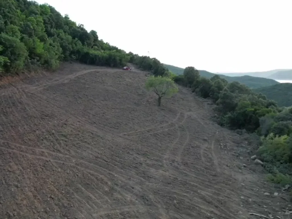 Our Terroir: Mavrou Kato Olive Grove in Arta, Greece